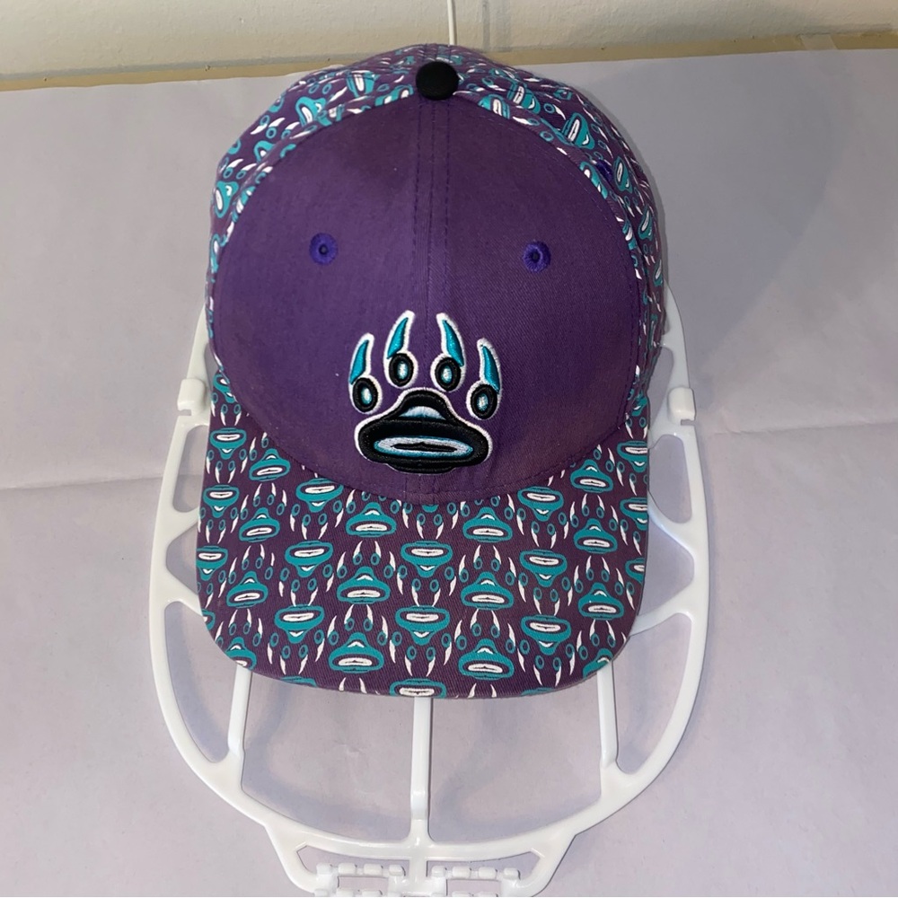 Native Northwest NNW Snapback Hat/ Cap Purple And Blue, Streetwear, One-size